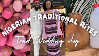 My Intimate Igbo Traditional Wedding | Eastern Nigerian Trad vlog