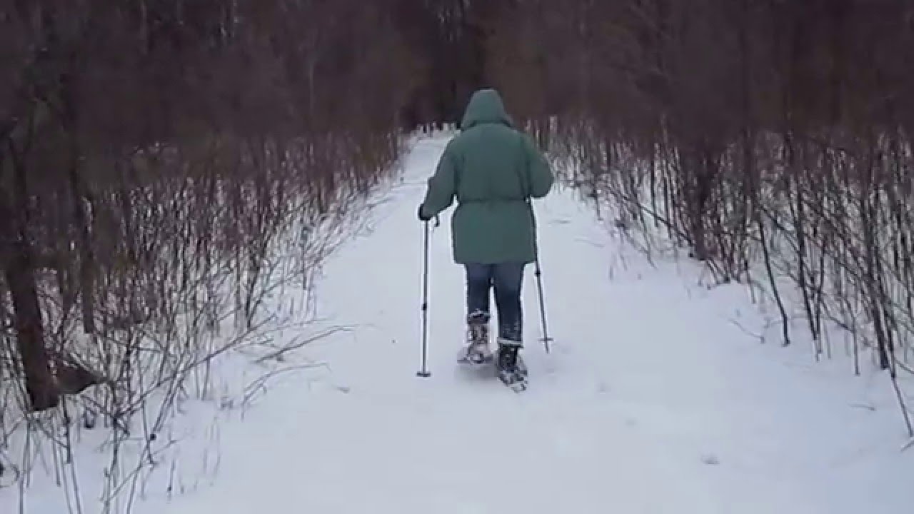 Snowshoeing in Michigan YouTube