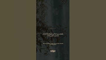 سورة البقرة الآية رقم 190 بصوت مشاري راشد العفاسي مع الترجمة الإنجليزية  #القران #لايك #اكسبلور
