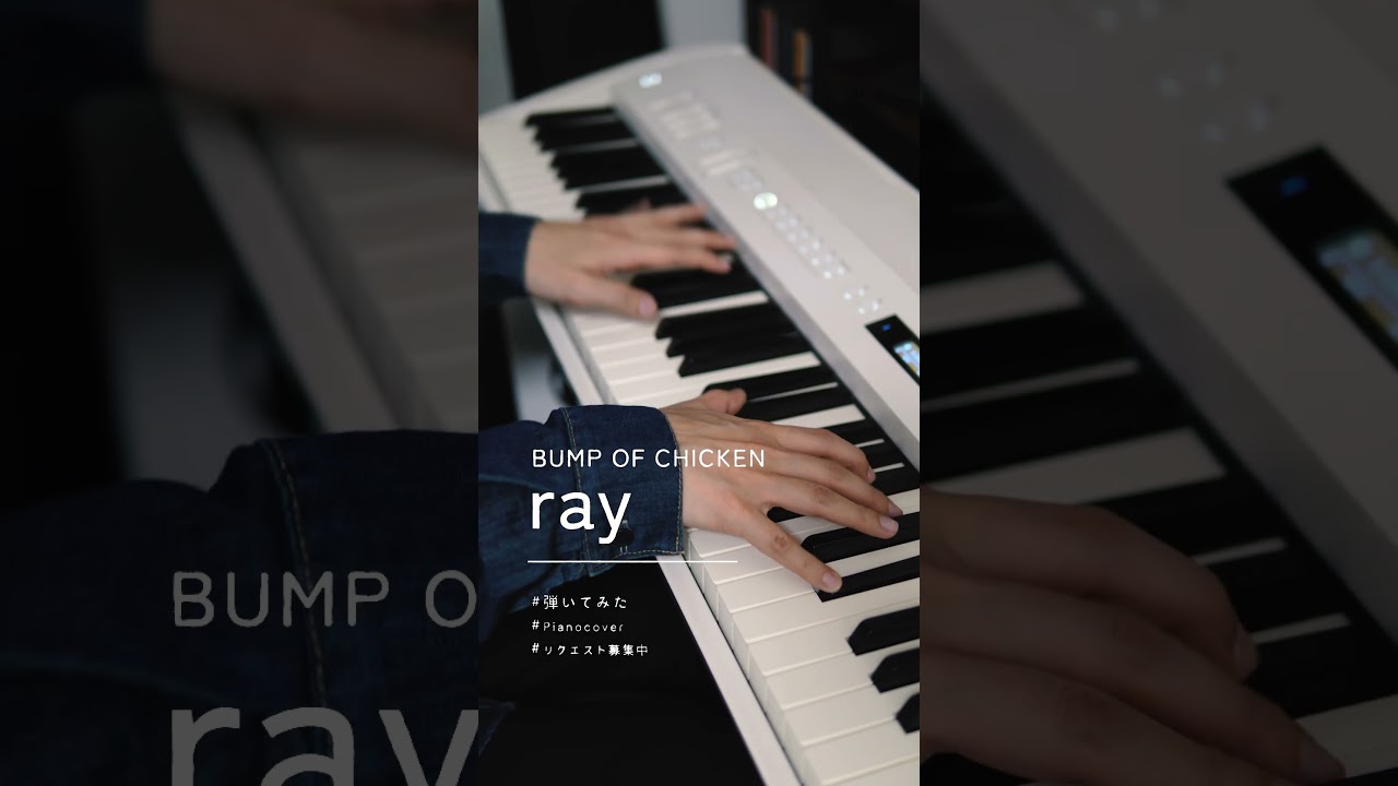 💫 ray / #bumpofchicken #弾いてみた