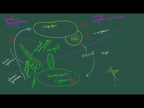 МалПрак II семестр, занятие 1, часть 1