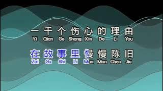 张学友 《 一千个伤心的理由 》 yi qian ge shang xin de li you