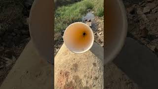 JBL Speaker Deep Water Pipe Test