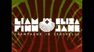 Liam Finn & Eliza Jane - Plane Crash