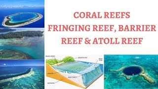 Types of Coral Reefs - Fringing/Shore Reef, Barrier Reef & Atoll Reef