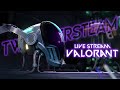 MABAR RAME BARENG SQUAD VALORANT INDONESIA