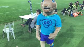 Cheeky Rusty the RugbyRoos mascot (Kangaroo)