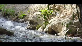 Doly Daglara-Rahman Annamuhammedow Turkmen Gitara