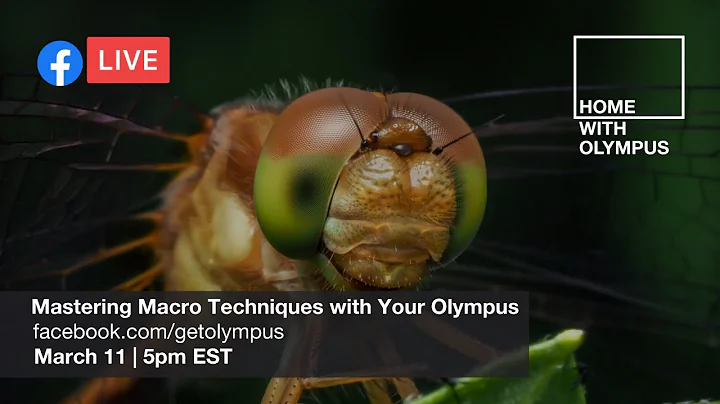 Home with Olympus: Mastering Macro Techniques with...