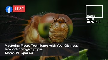 Home with Olympus: Mastering Macro Techniques with Your Olympus