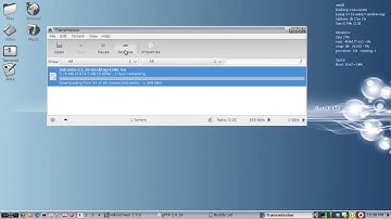 AntiX 13 Stable - Other internet apps - gftp, pidgin and transmission