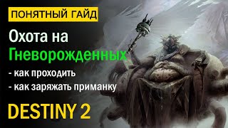 Destiny 2. Все про &quot;Охоту на Гневорожденных&quot;! Сезон &quot;Охота&quot;.