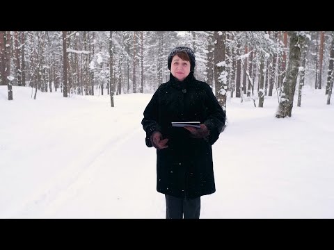 1991. Хлеб на каждый день. Множество коней у Соломона.