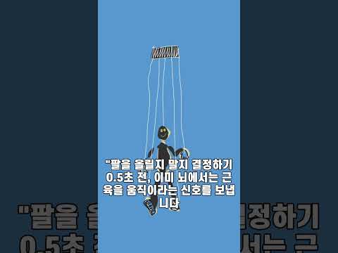 🧠 나도 모르게 조종당하고 있다? 내 뇌의 비밀 TOP 5#뇌과학#심리학#인간의비밀#랭킹#지식쇼츠#상식#데자뷔#귀벌레현상#유튜브쇼츠#1분지식