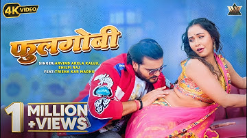 #Video Arvind Akela Kallu New Bhojpuri Video Song | फुलगोबी | Shilpi Raj | Ft. Trisha Madhukar