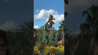 lion king #orlando