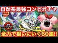 【ドラクエタクト】レティス&メタルスコーピオンを全力で狙う！Wピックアップ60連ガチャ！！