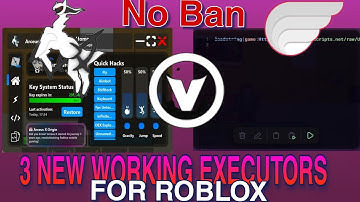 Best New Updated Executor For Roblox / Top 3 New 💯 Working Executor For Roblox (No Ban) Roblox Execu