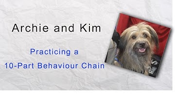 10-part chain exercise (Karen Pryor)