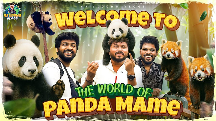 Red Colour-ல Panda இருக்கா🐼🤩 | China Series | Ep - 09 | Vj Siddhu Vlogs