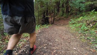 Day Hike at Mt Madonna County Park #hiking #trailrunning