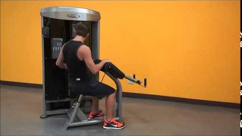 Steelflex Mega Power Biceps Curl Machine (MBC600) | Fitness Direct