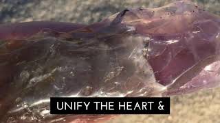 Emerald Auralite 23 Crystals to Connect the Heart & Third Eye Chakras