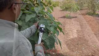 😳🌞🌾Portable Photosynthesis System