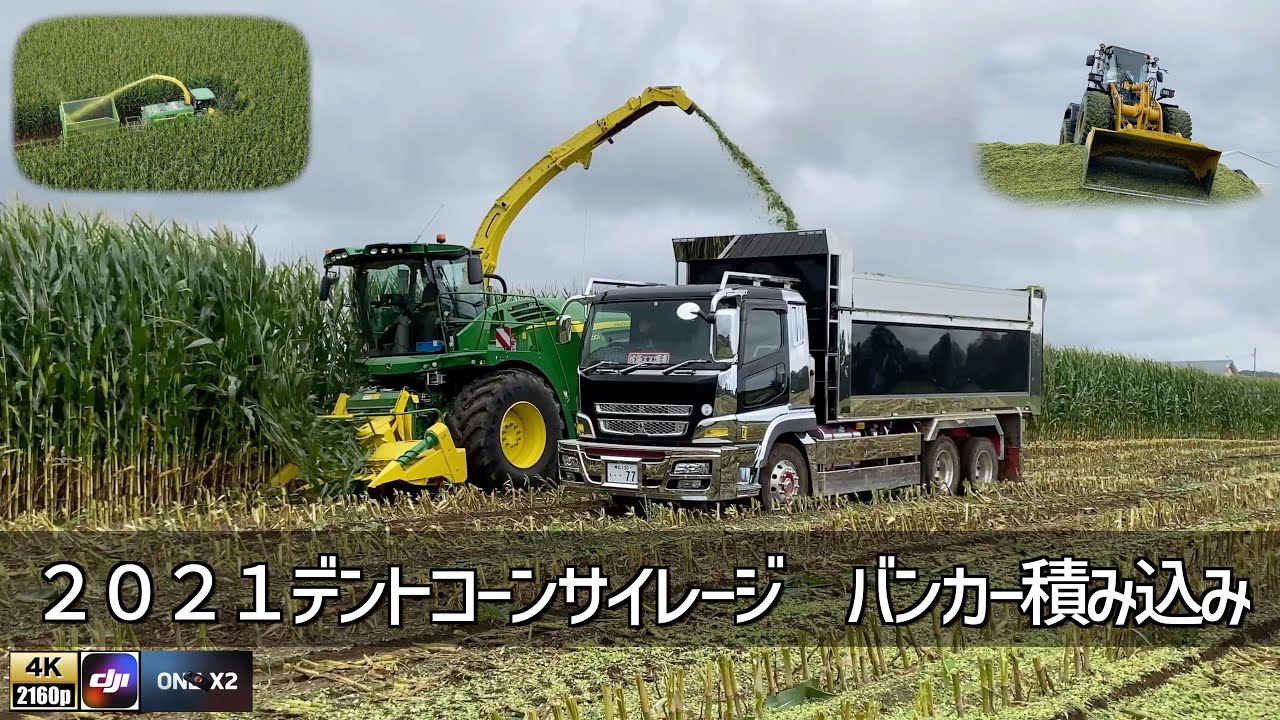2021 デントコーンサイレージ バンカーサイロ積み込み Cone Silage harvest & Strage in bunker silo 4K