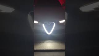 Career Overview Alfa Romeo V-Led After