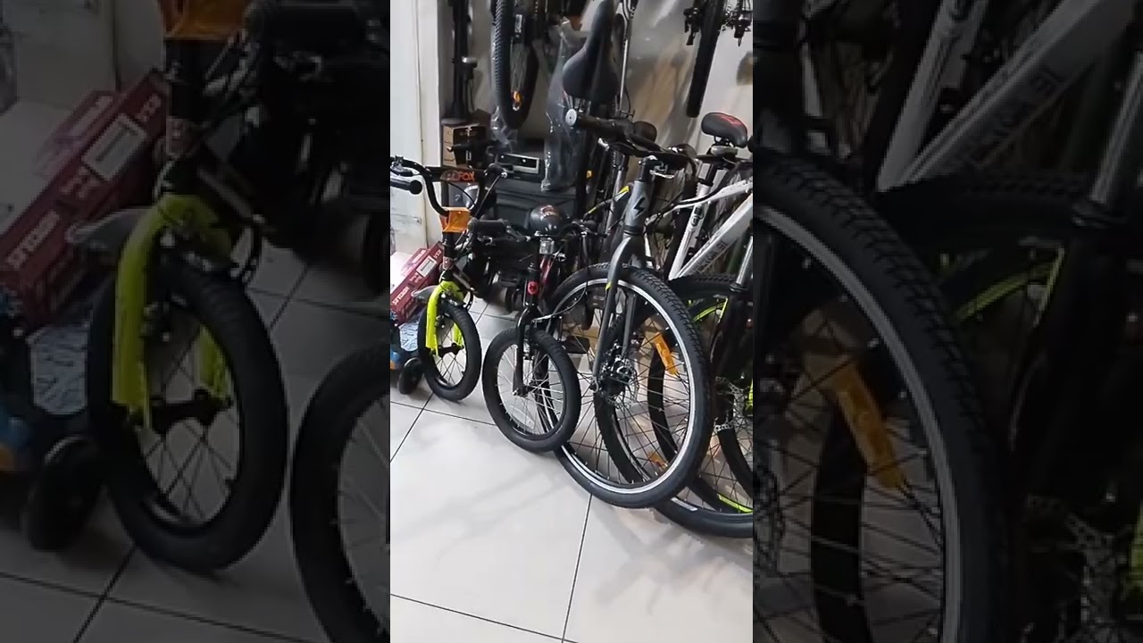 bike Safari bicycle store Shaheen Bagh New Delhi 25 Firefox multi brand bicycle store
