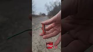 scream wasp #pyrotechnika #pyro #pyrotechnics #fireworks #ohňostroj #petardy #petard #firecracker
