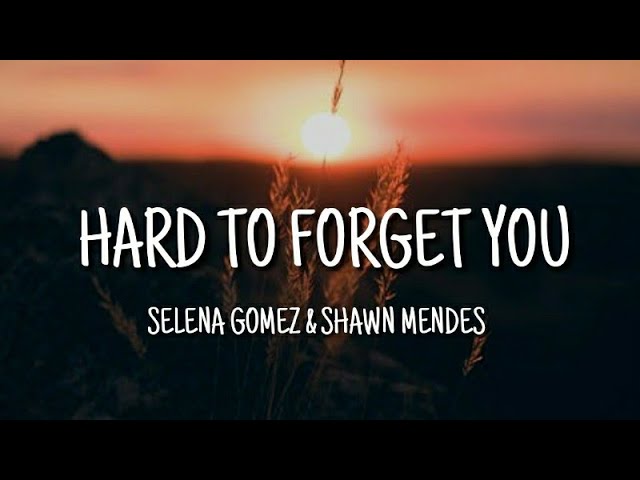 Selena Gomez & Shawn Mendes - Hard to Forget You (lyrics)
