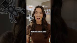 Spider + caffeine =  | BBC Ideas