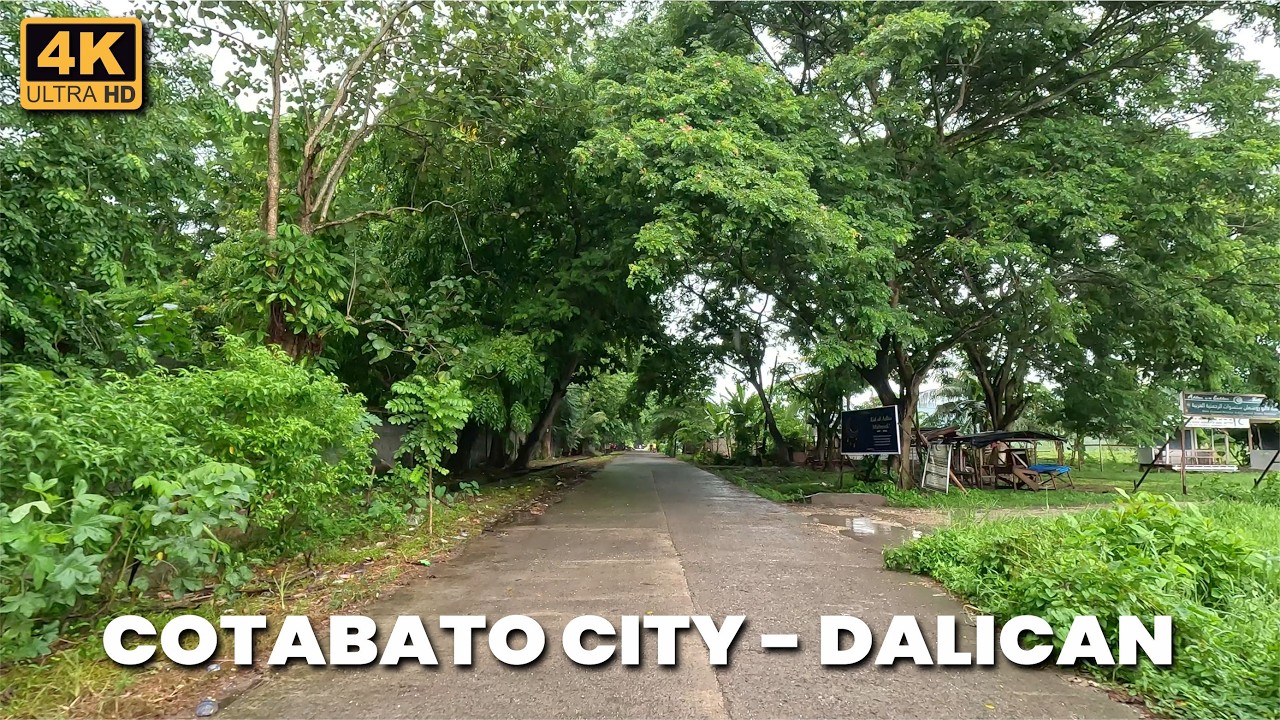 Road Trip from Cotabato City to Dalican w/ Our Cat Hearty On Board + Monkeys Spotted Along the Road