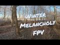 Winter Melancholy - Cinewhoop FPV