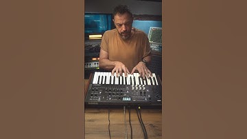 Pad/Arp Patches for Korg WaveState - Analog Synth Essentials #wavestate #korgsynth #korgwavestate