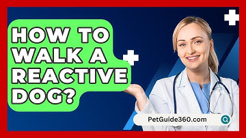 How To Walk A Reactive Dog? - PetGuide360.com