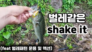 듀오 신무시 여름철 배스 공략! 베이트피네스 채비 벌레 탑워터 패턴! 손맛 눈맛까지 즐길수있는 시즌!