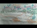 Hypoxia | Hypoxic, Anemic, Stagnant, Histotoxic Hypoxia | Amazing Concept | TCML