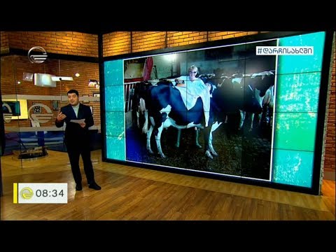 სპორტის ძალიან უცნაური სახეობები