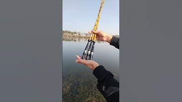 Cần câu chép 4H 28i giả trúc chính hãng, cần câu tay 4,5 mét - Fishcamp Việt Nam #4 #shorts