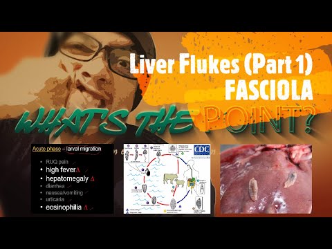 Video: Liver Fluke Systems