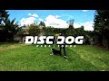 Nos vemos en XALAPA &quot;DISC DOG PARA TODOS&quot;