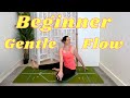 Gentle Yoga Flow for Beginners | NO PROPS | Relaxing 20-Minute Slow Class for Stress Relief