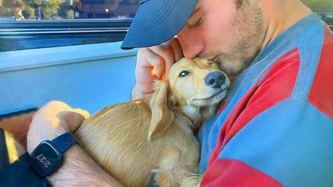 Dads Who Don’t Want Any Dogs… Until He Comes and Beyond