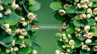 Ботанический сад, Минск, 23-05-2021, слайдшоу