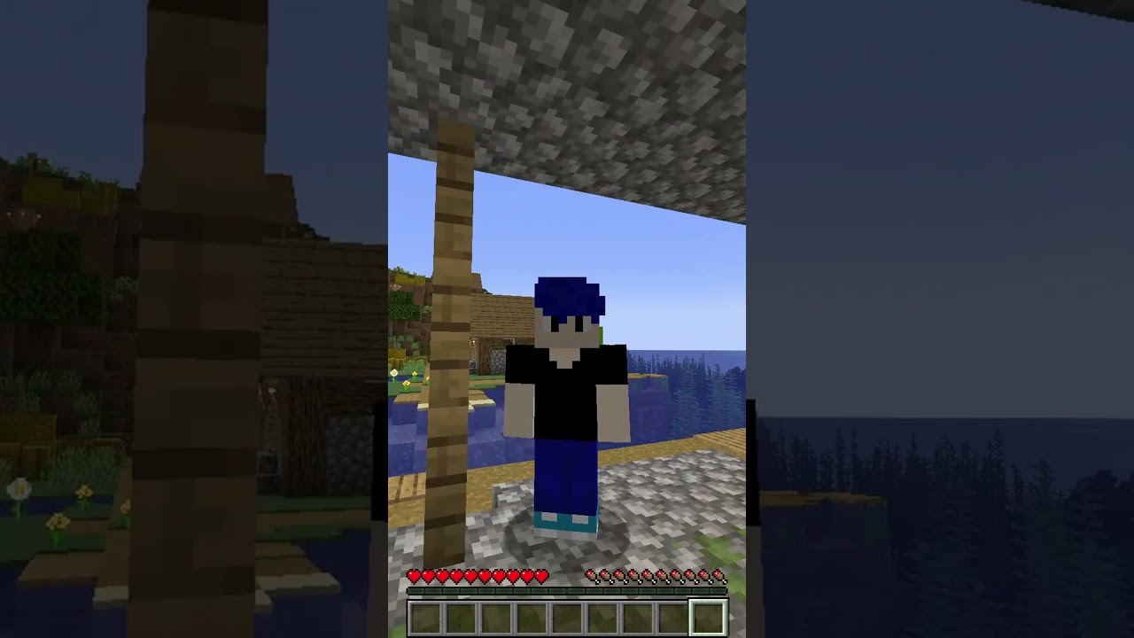 How To Open a Door In Minecraft