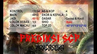 ᑔᑔ Burung hantu sydney 13 desember 2021  ஔ 