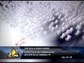 LAS PROFUNDIDADES DE LA TIERRA VOL.5 PR.RICARDO CLAURE PEÑALOZA